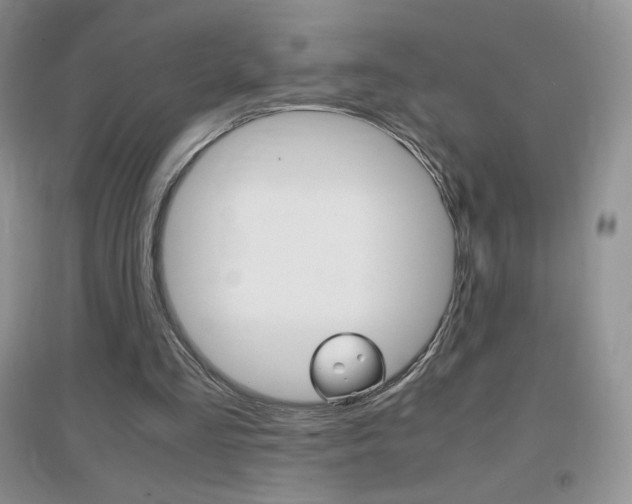 X0000096940293200802080904