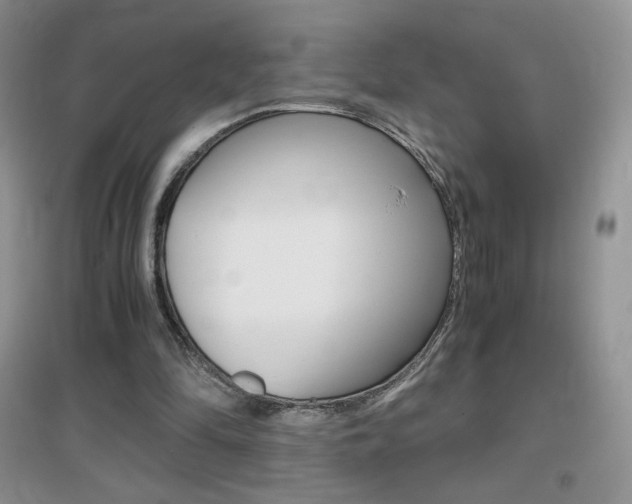 X0000096940294200802080904