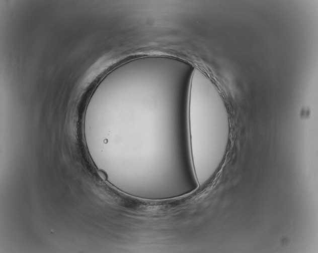 X0000096940295200802080904