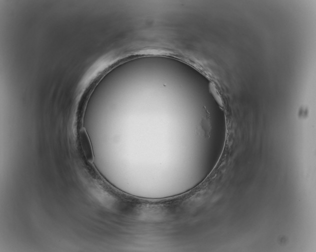 X0000096940296200802080904