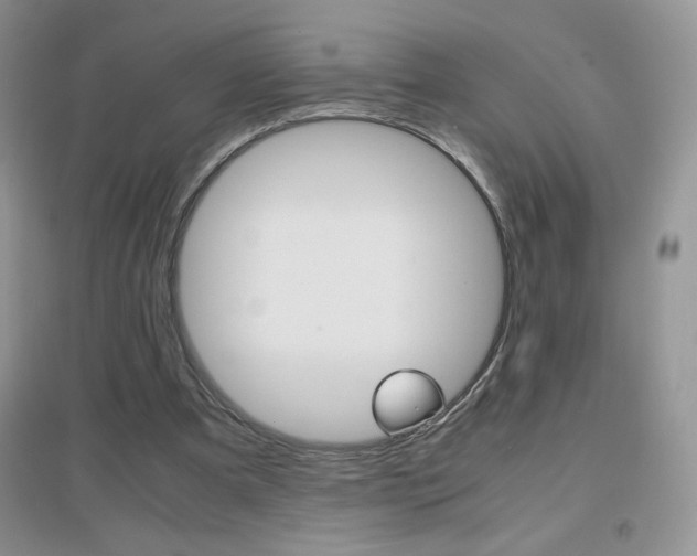 X0000096940297200802080904