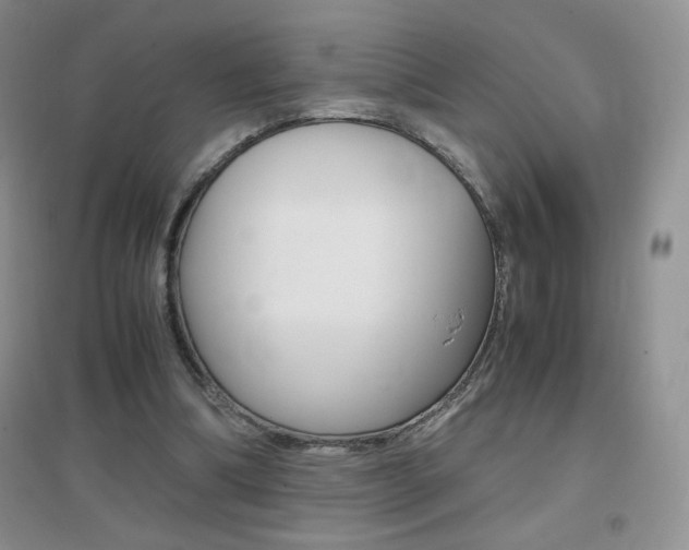 X0000096940298200802080904