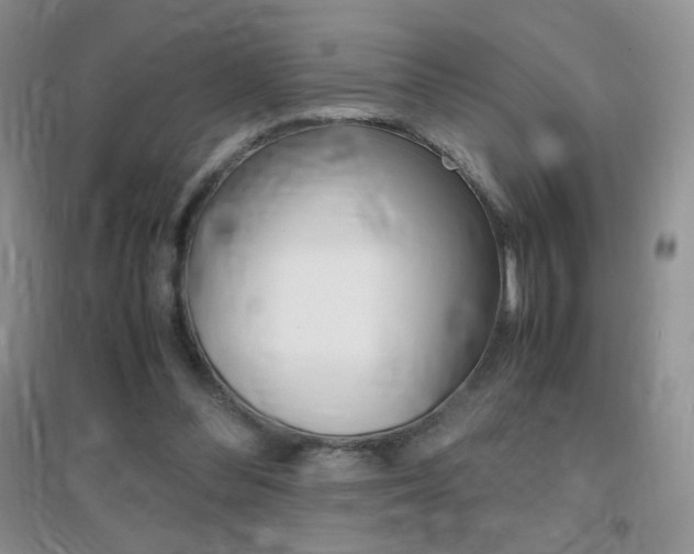X0000096940300200802080904