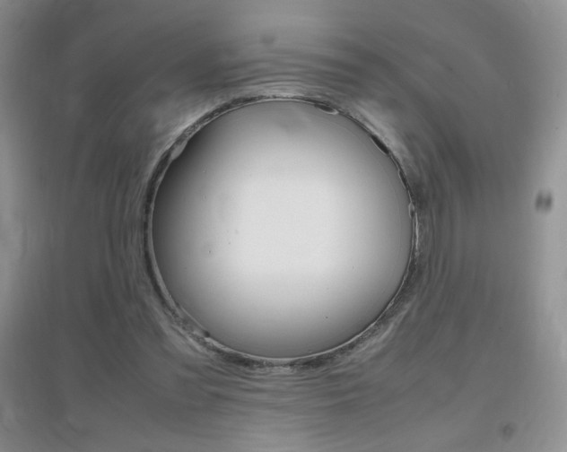 X0000096940301200802080904