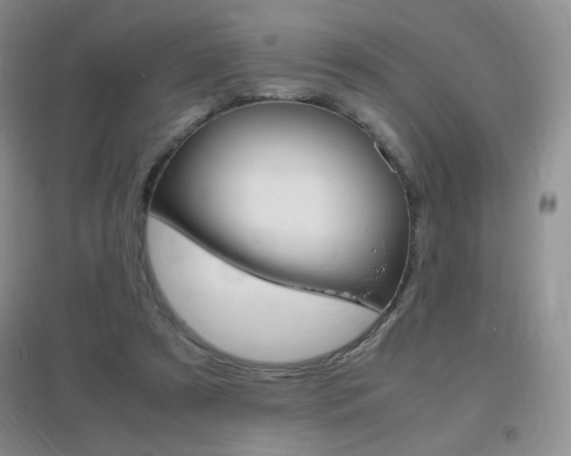 X0000096940305200802080904