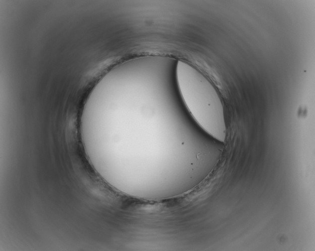 X0000096940306200802080904