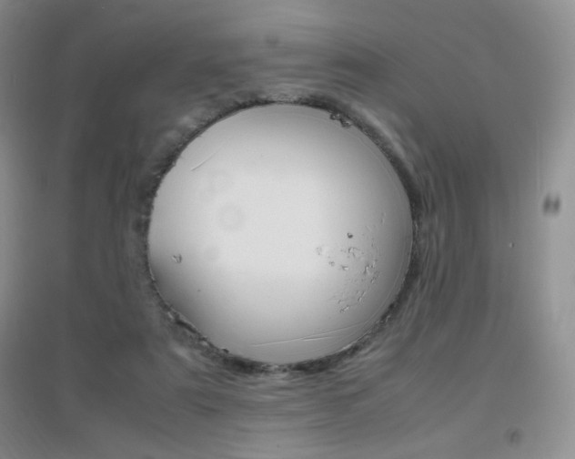 X0000096940307200802080904