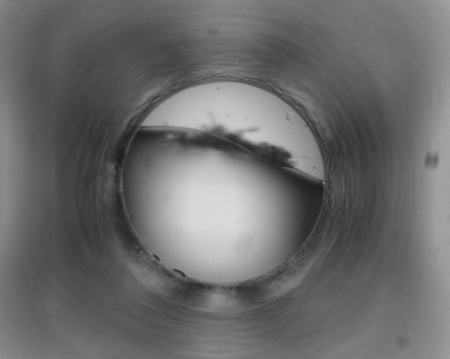 X0000096940308200802080904
