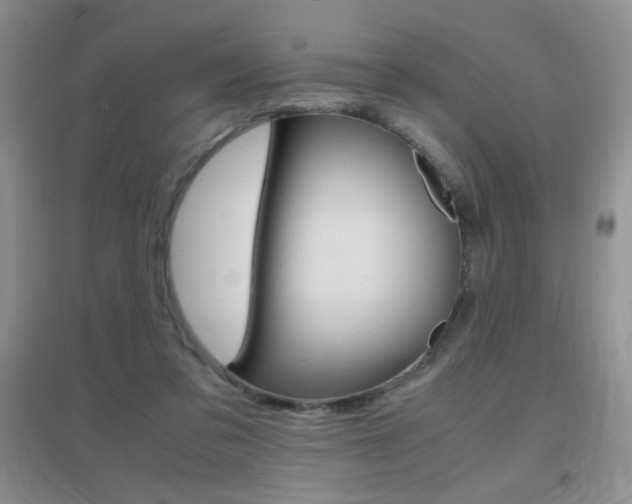 X0000096940309200802080904