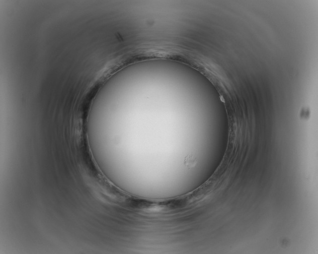 X0000096940312200802080904