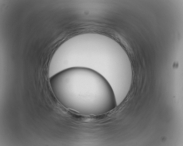 X0000096940313200802080904