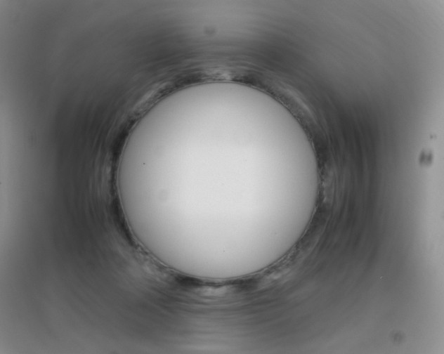 X0000096940314200802080904