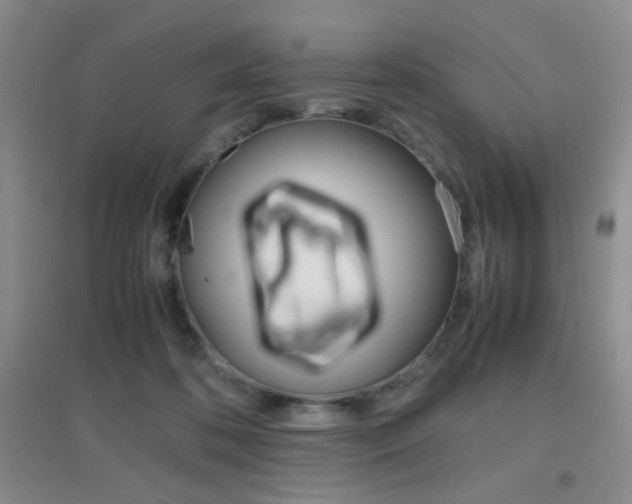 X0000096940316200802080904