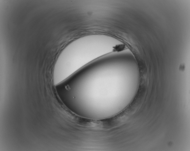 X0000096940317200802080904