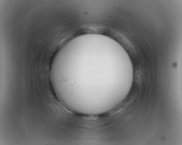 X0000096940318200802080904