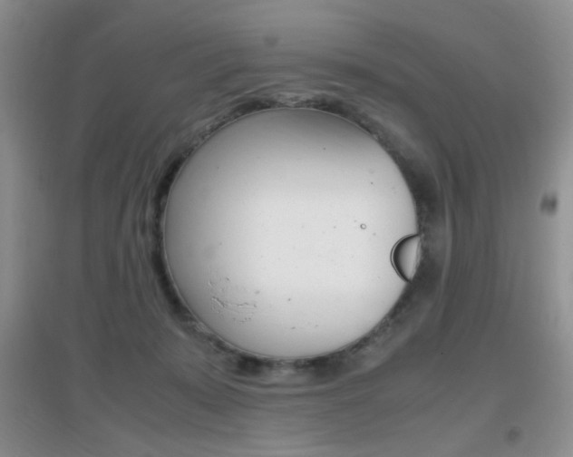 X0000096940319200802080904