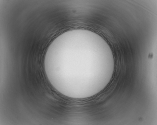 X0000096940320200802080904