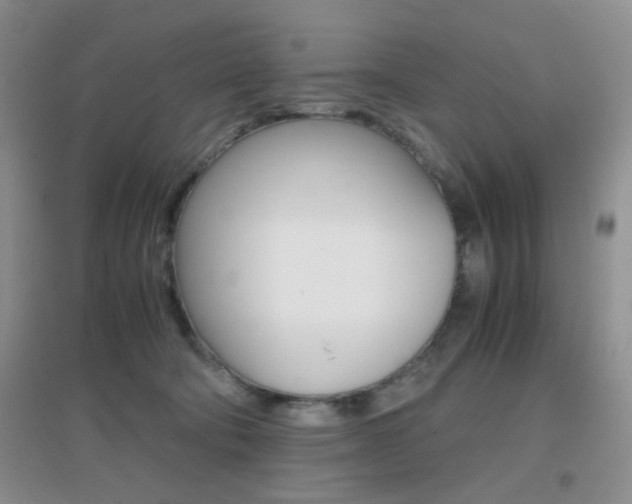 X0000096940322200802080904
