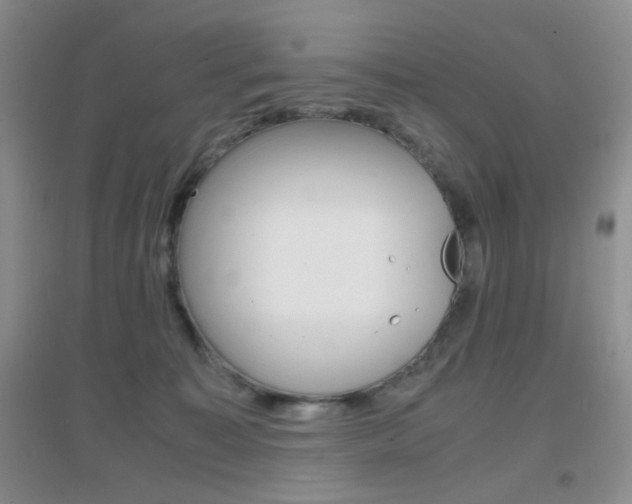 X0000096940323200802080904