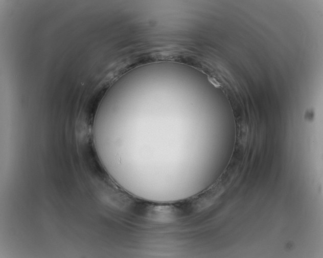 X0000096940324200802080904
