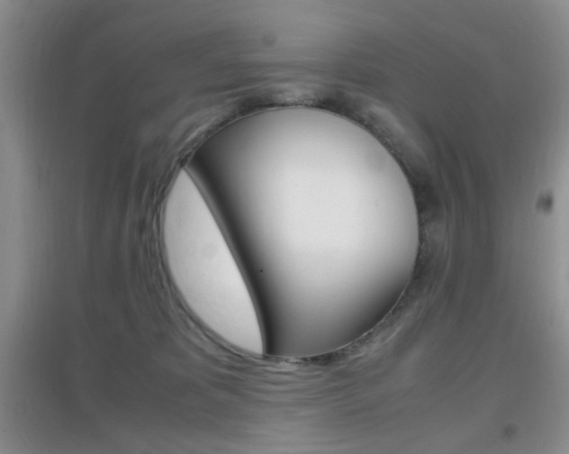 X0000096940325200802080904