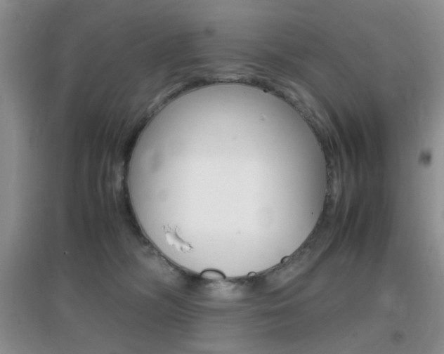 X0000096940326200802080904