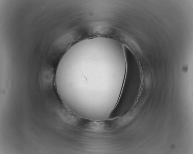 X0000096940328200802080904