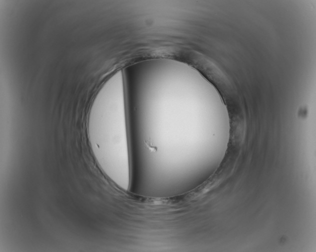 X0000096940329200802080904