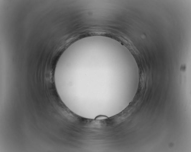 X0000096940330200802080904