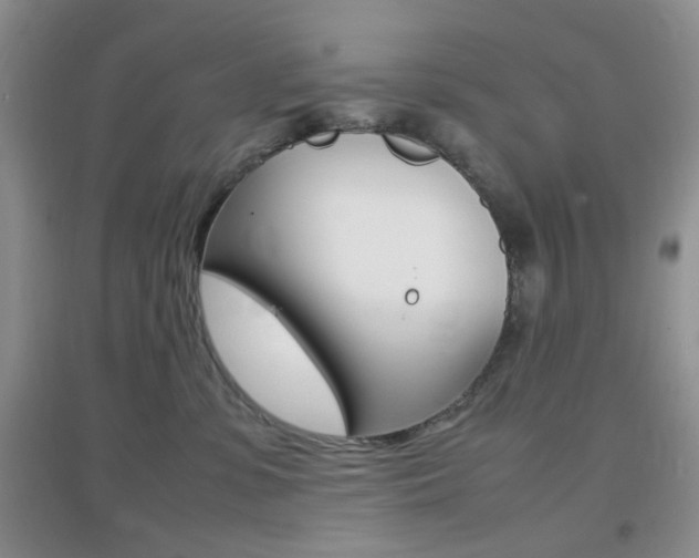 X0000096940331200802080904