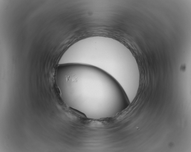 X0000096940332200802080904