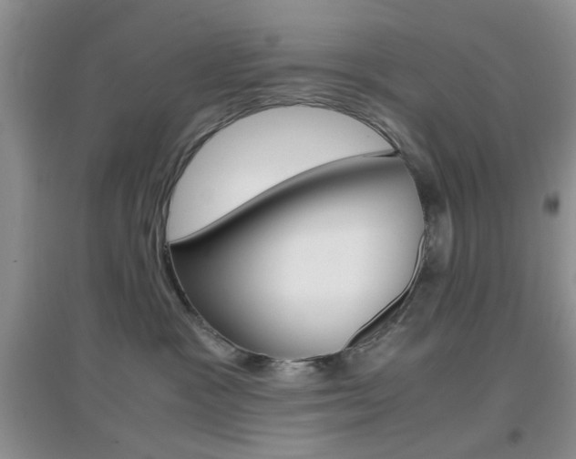 X0000096940333200802080904