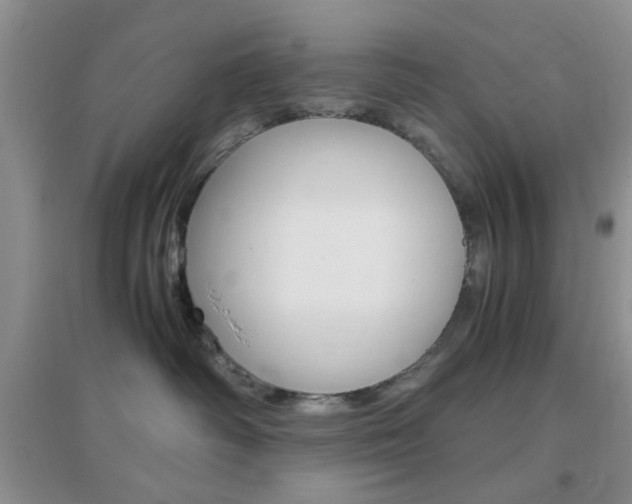 X0000096940334200802080904