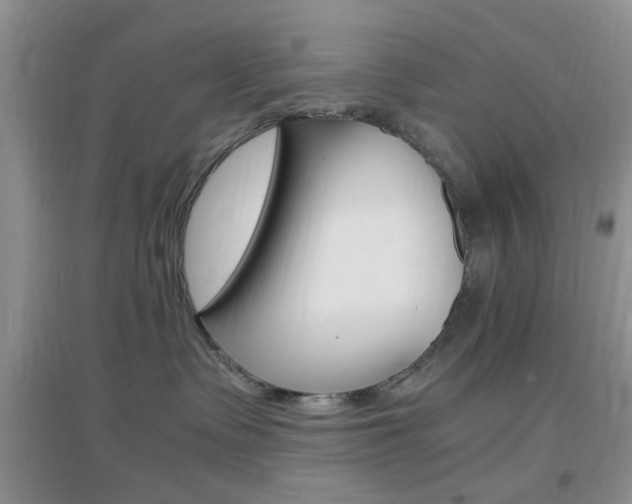 X0000096940335200802080904
