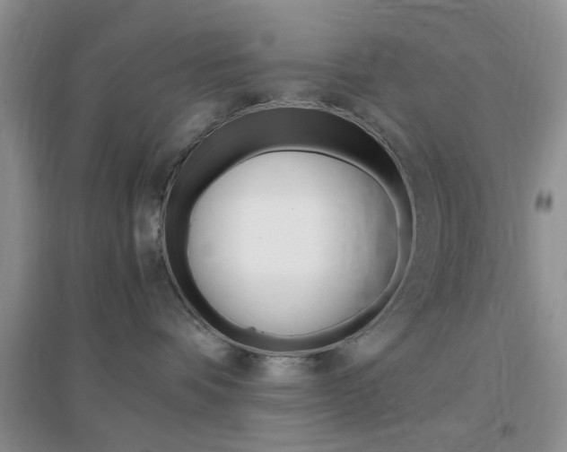 X0000096940336200802080904