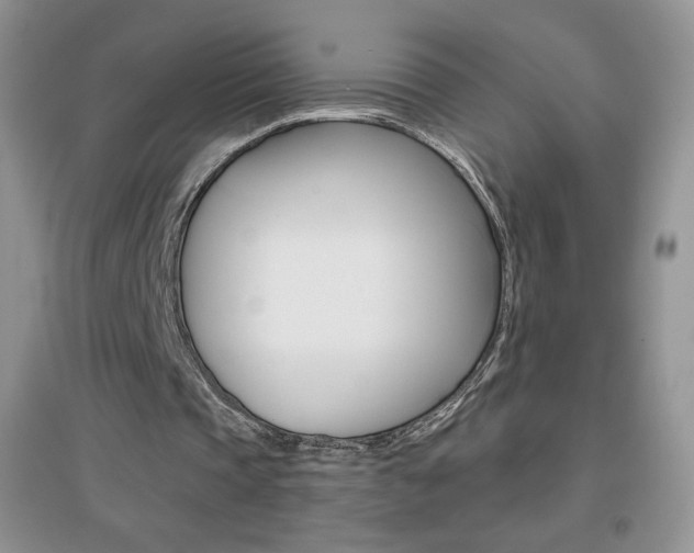 X0000096940337200802080903