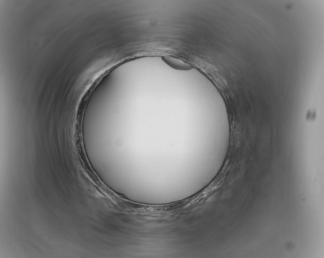X0000096940338200802080903