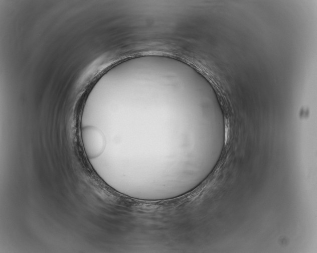 X0000096940339200802080903
