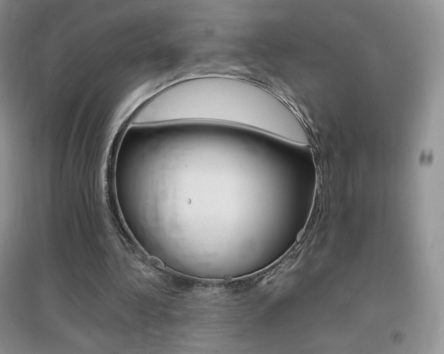 X0000096940340200802080903