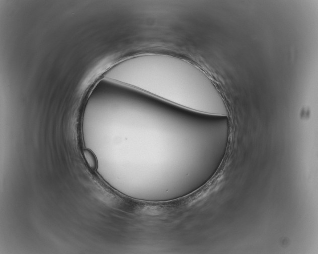 X0000096940341200802080903