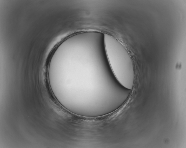 X0000096940342200802080903