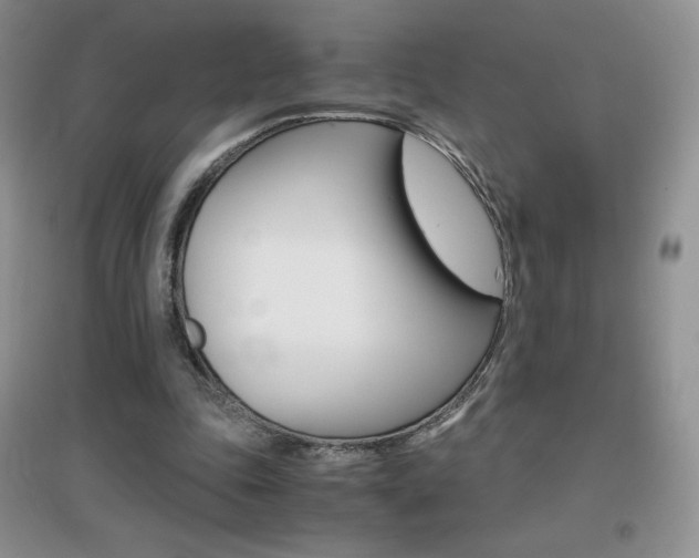 X0000096940343200802080903
