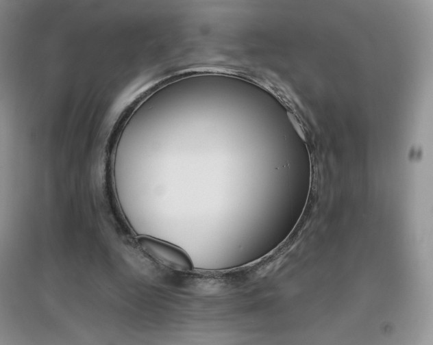 X0000096940344200802080903
