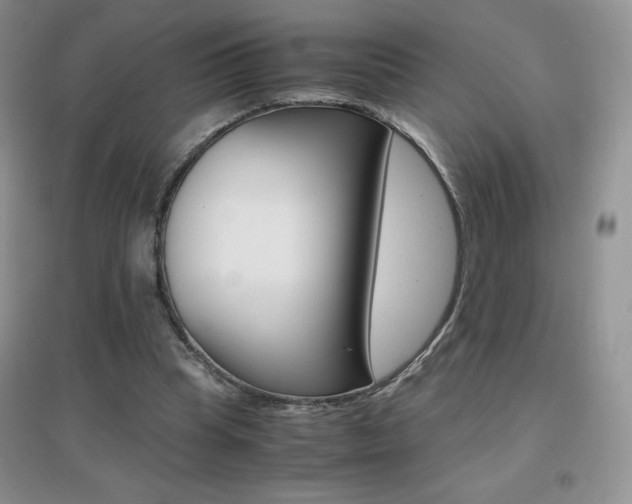X0000096940345200802080903