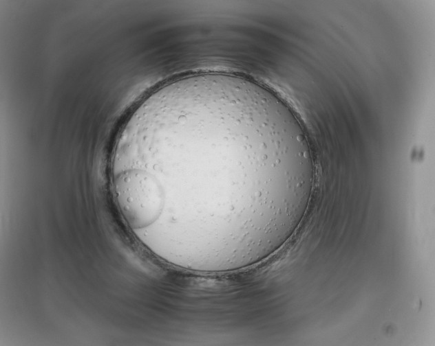 X0000096940347200802080903