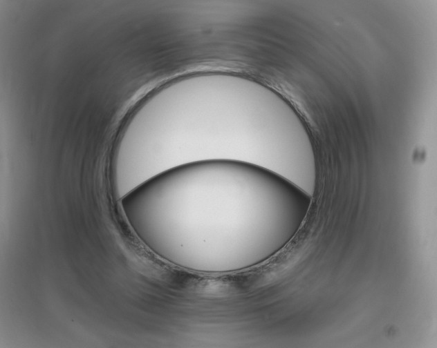 X0000096940348200802080903