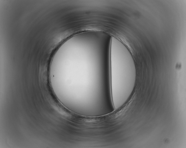 X0000096940349200802080903