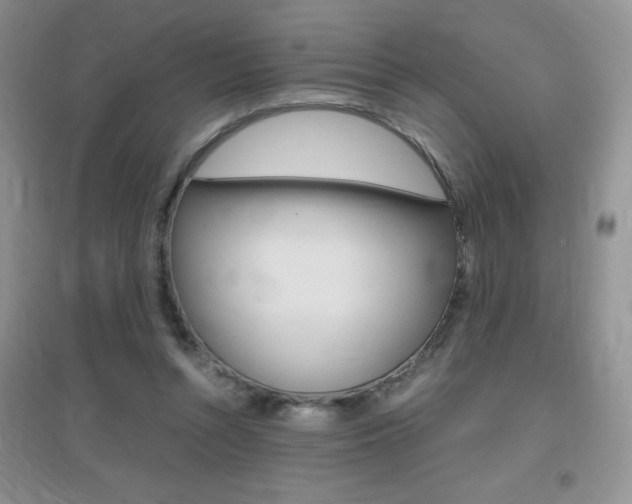 X0000096940352200802080903