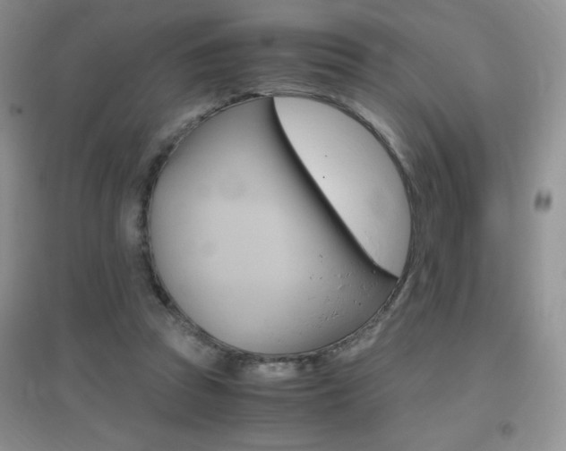 X0000096940353200802080903