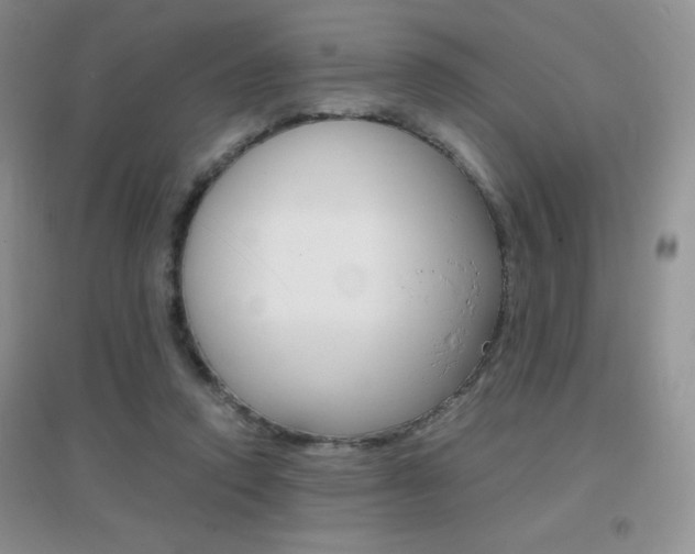 X0000096940354200802080903